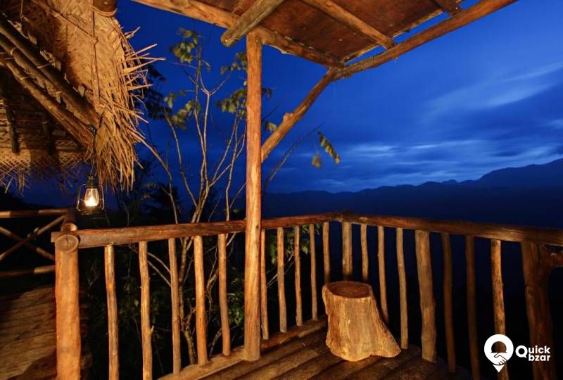 R1WH AH HORNBIL TREE HOUSE