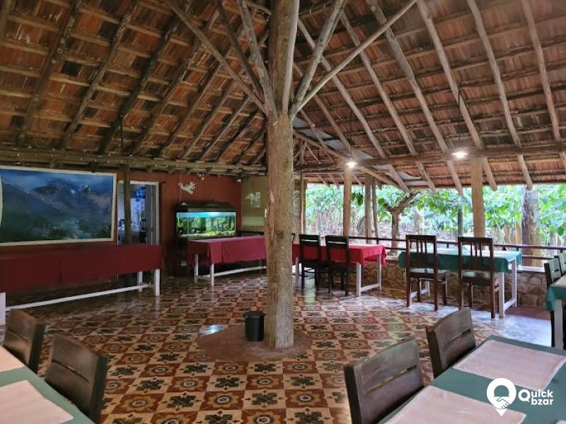 R1WH AH HORNBIL TREE HOUSE