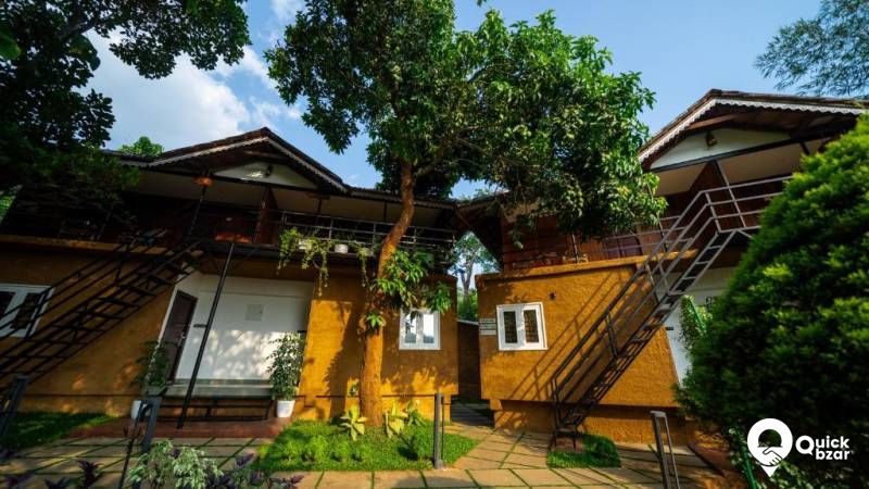 R41W MM PADDY VIEW COTTAGE