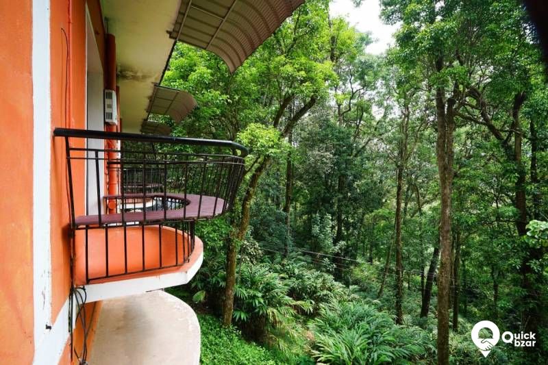R126 FHR FOREST VIEW ROOM