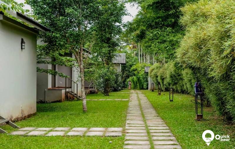 R42W CG FAMILY COTTAGE