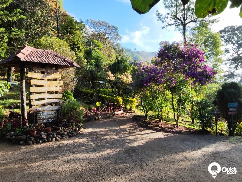 R152M NZJR  TREE HOUSE