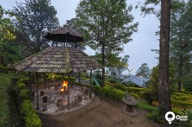 R152M NZJR  TREE HOUSE