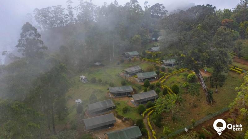 R152M NZJR  TREE HOUSE