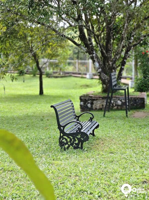 R153M GBHR  DELUXE PLUS NON A/C COTTAGE ROOM