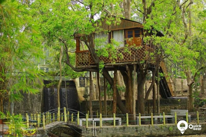 R2KAN CMACR TREE HOUSE