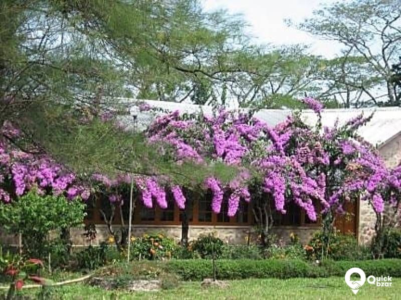 R20V ASSHR LUXURY COTTAGE