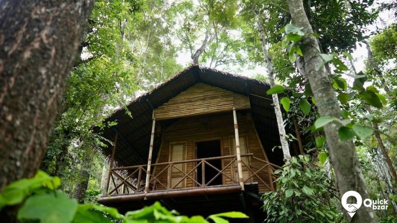 R46W AMMFR BAMBOO HUT