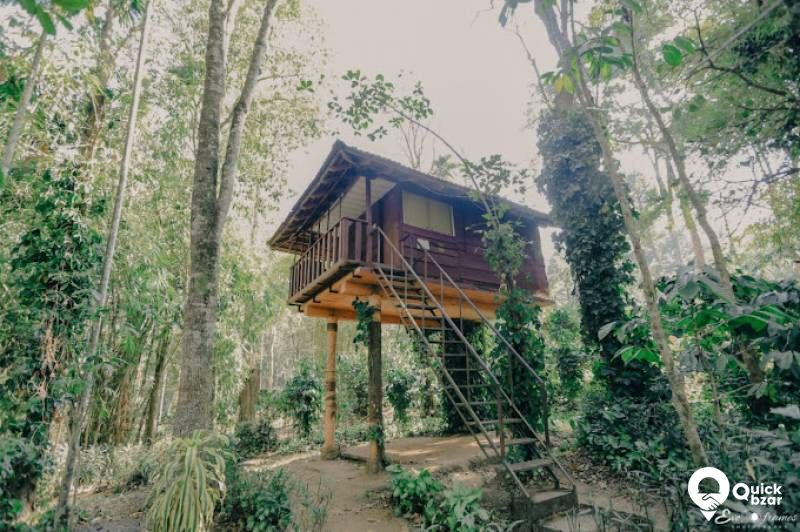 R53W SGR TREE HOUSE