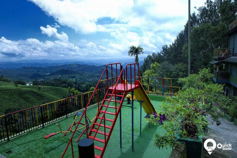 R49M PKT TREE HOUSE