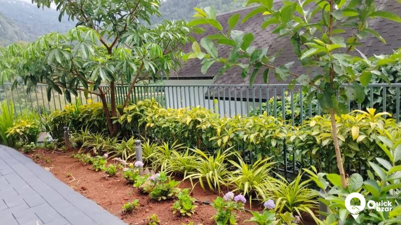 QB Stay - R1M EW Garden Cove