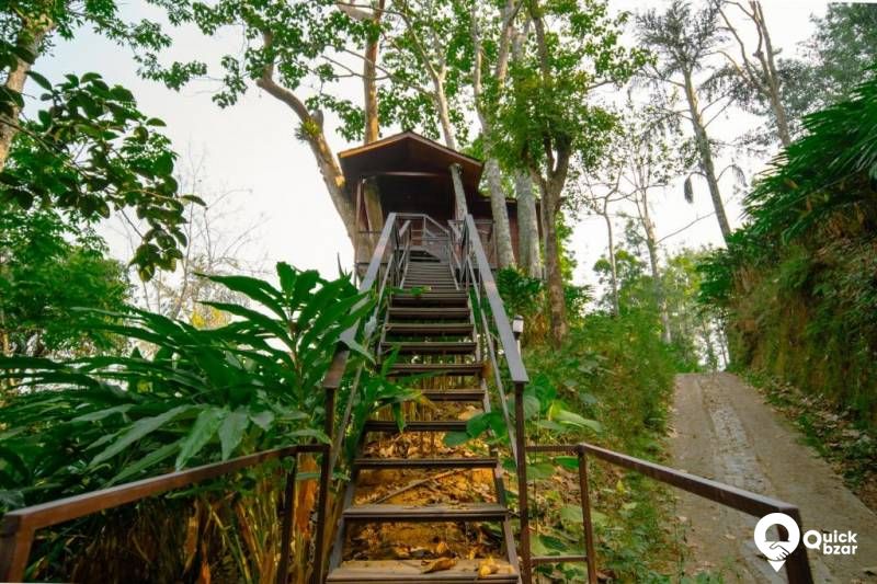 R67M SP IR TREE HOUSE