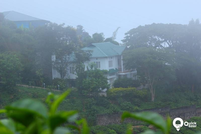 R157M SBV FULL COTTAGE