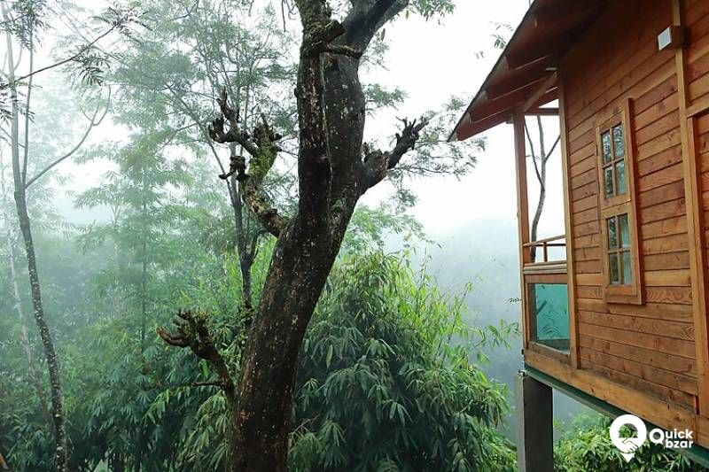 QB STAY - R22V  MMP WOODEN CHALET
