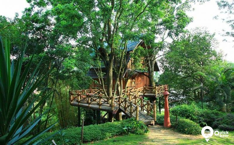R32W GG  BAMBOO TREE HUT