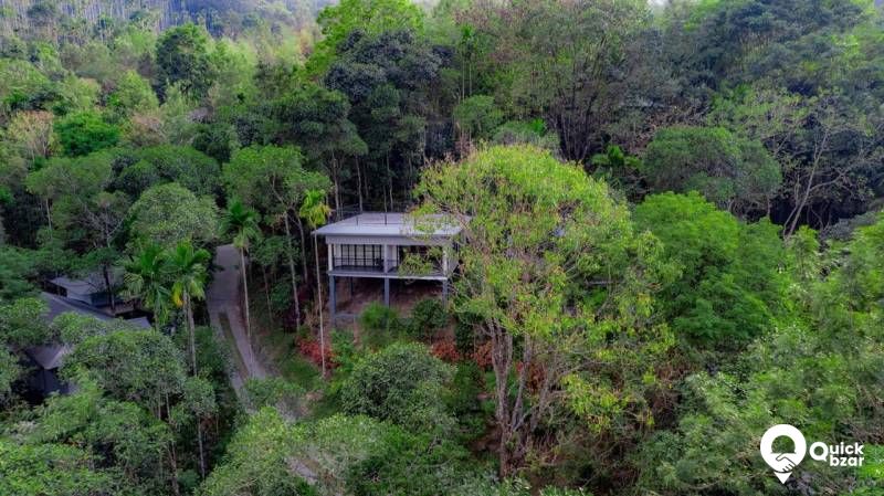 R40W KH THW WILD COTTAGE