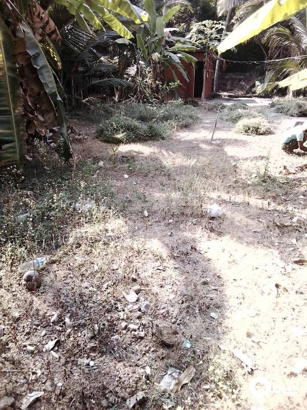 Ideal residential property  near to Mankave Kozhikode.
