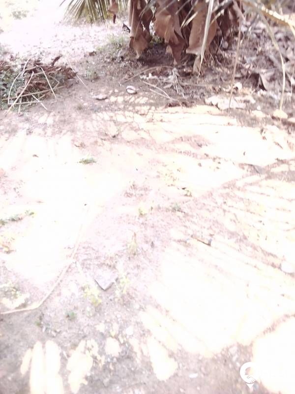Ideal residential property  near to Mankave Kozhikode.