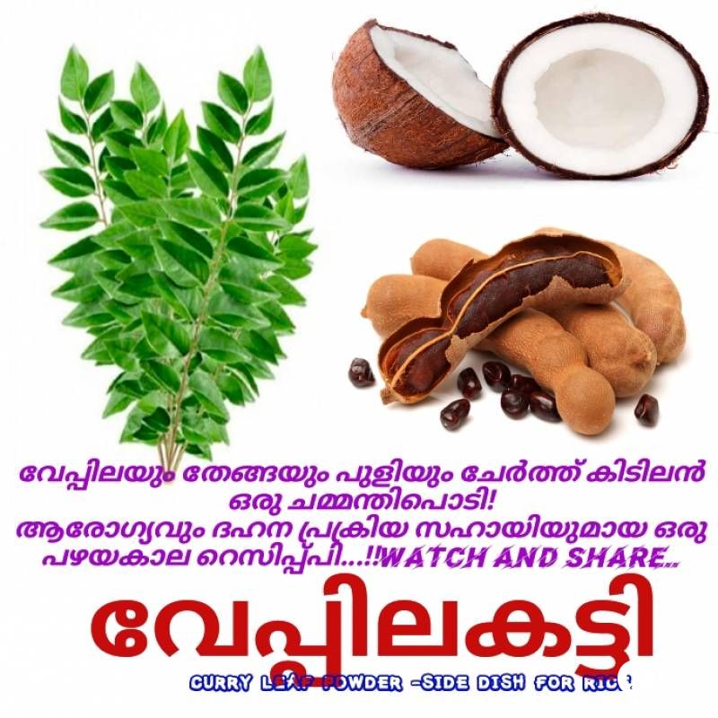 വേപ്പിലകട്ടി /ചമ്മന്തി പൊടി