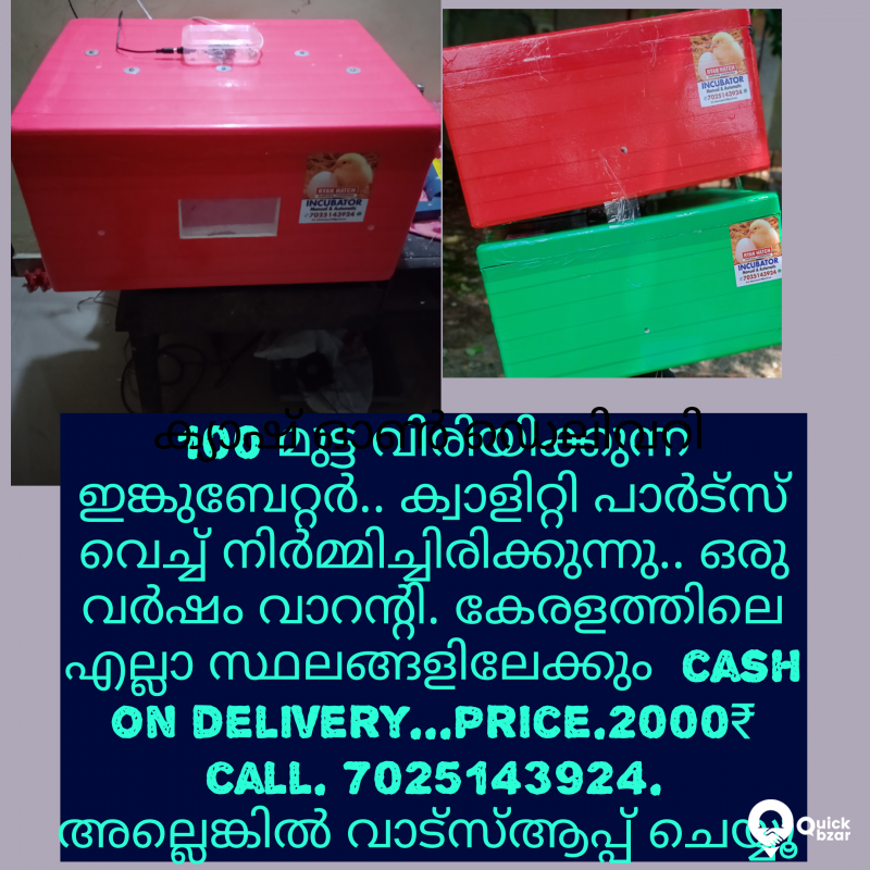 egg incubator