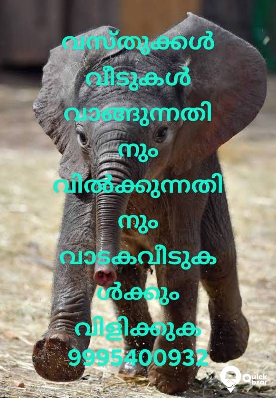 വാടക വീടുകൾ