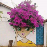 QB user anvar