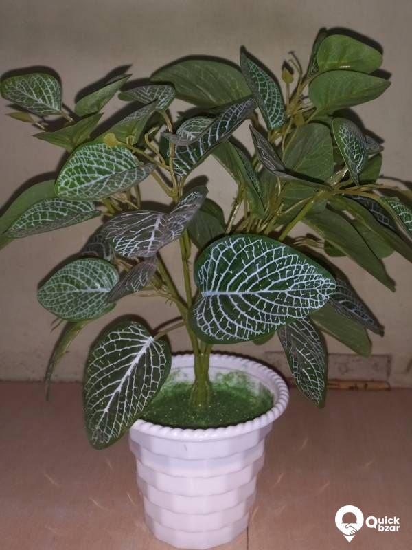 artifical plant