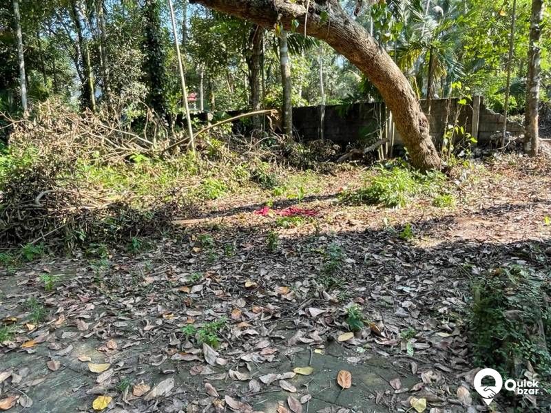 Land for sale