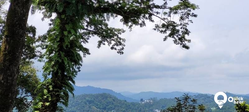 munnar Adimaly main road NH front 150 acre cardamom and pepper.