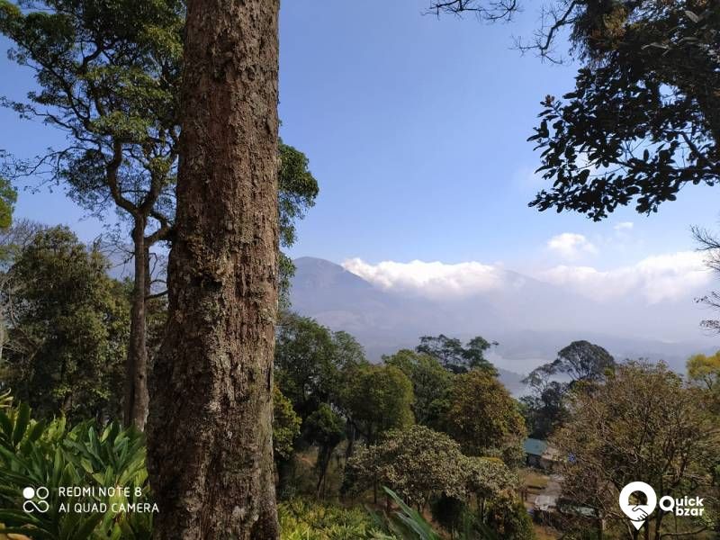 munnar Adimaly main road NH front 150 acre cardamom and pepper.