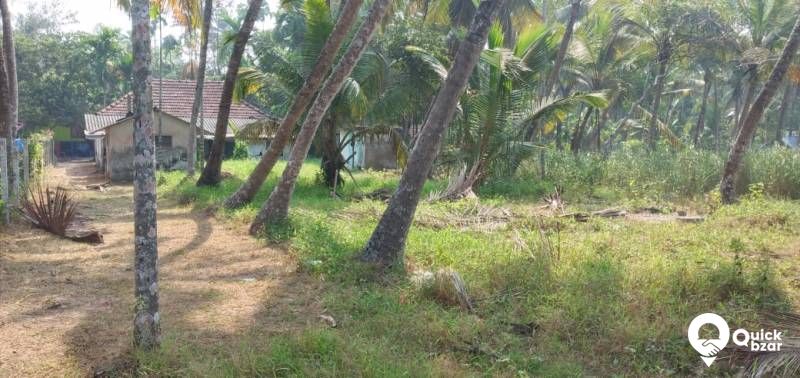 E K M dist tha most beautiful lake vambanadu lake 100 m frontage.