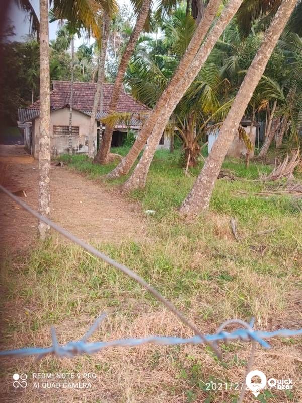 E K M dist tha most beautiful lake vambanadu lake 100 m frontage.