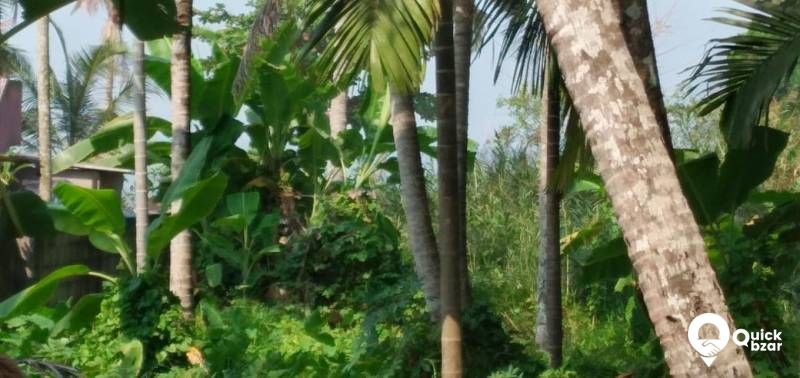 E K M dist tha most beautiful lake vambanadu lake 100 m frontage.