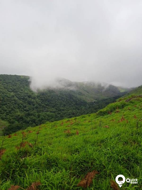 Kerala tourism place Vagamon very good climate 100 acre full LA patta.
