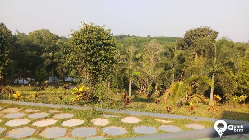 Ekm dist near Tripunithura   posh  big house