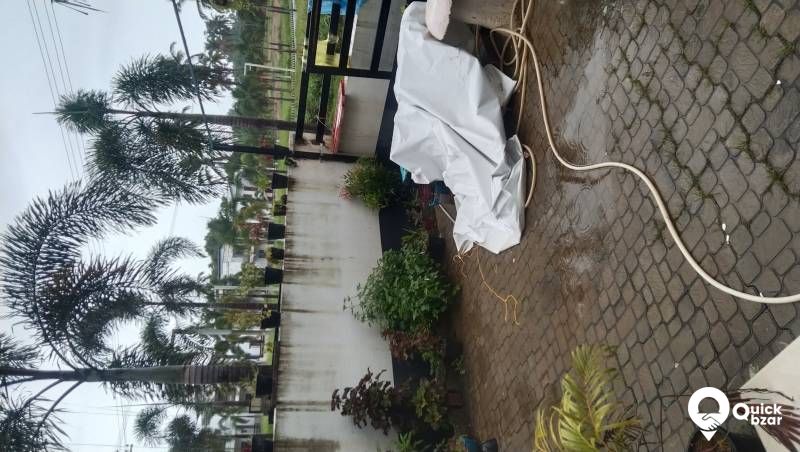 veriety plants are available