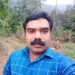 QB user Anoop Thottupurathu Paper bags