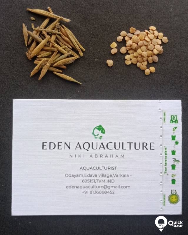 plantable business card