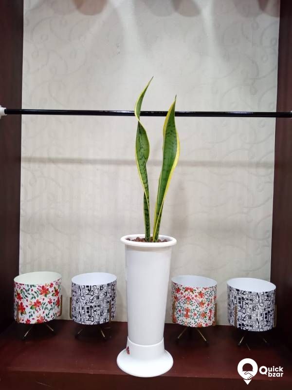 requirement of pots and indoor plants / agro items