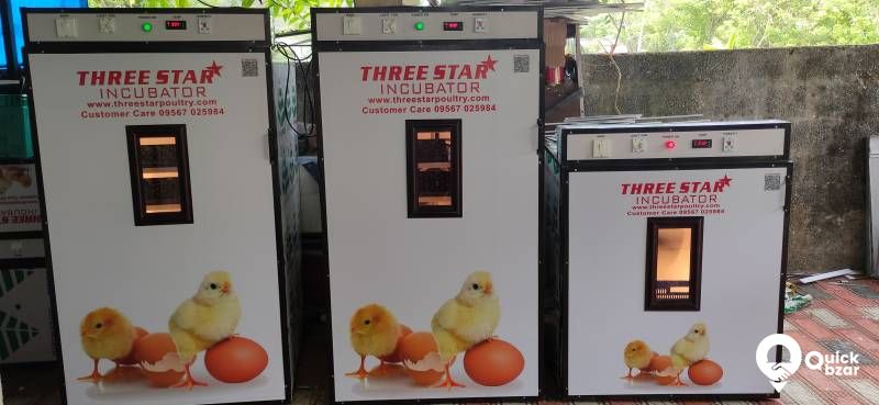 Incubator