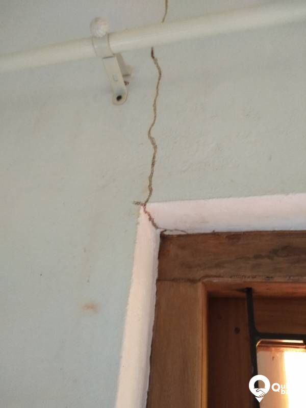 pest control service