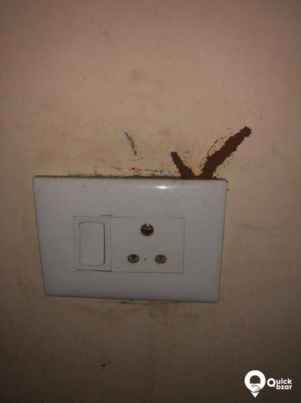 Anti Termite Treatment, Wood & Ply treatment and General pest control