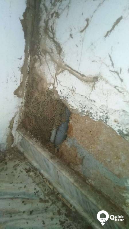 Anti Termite Treatment, Wood & Ply treatment and General pest control