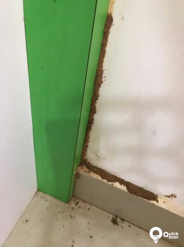 Anti Termite Treatment, Wood & Ply treatment and General pest control