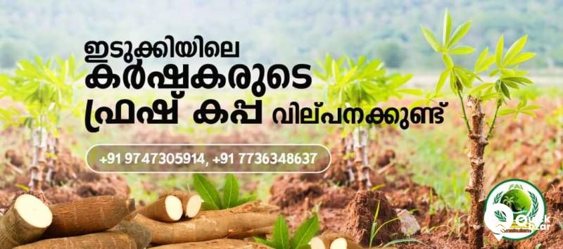 Kappa വില്പനക്ക്