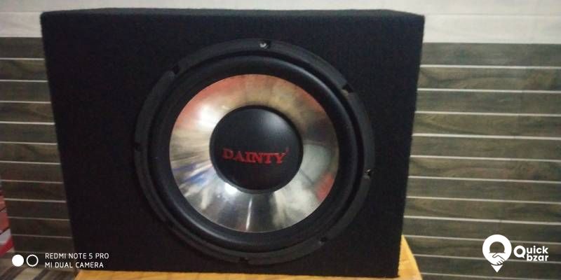 12inch dinity sub & box with Power amb