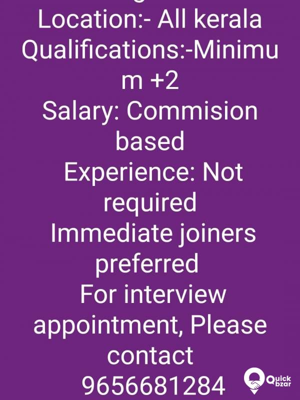Marketing Executive