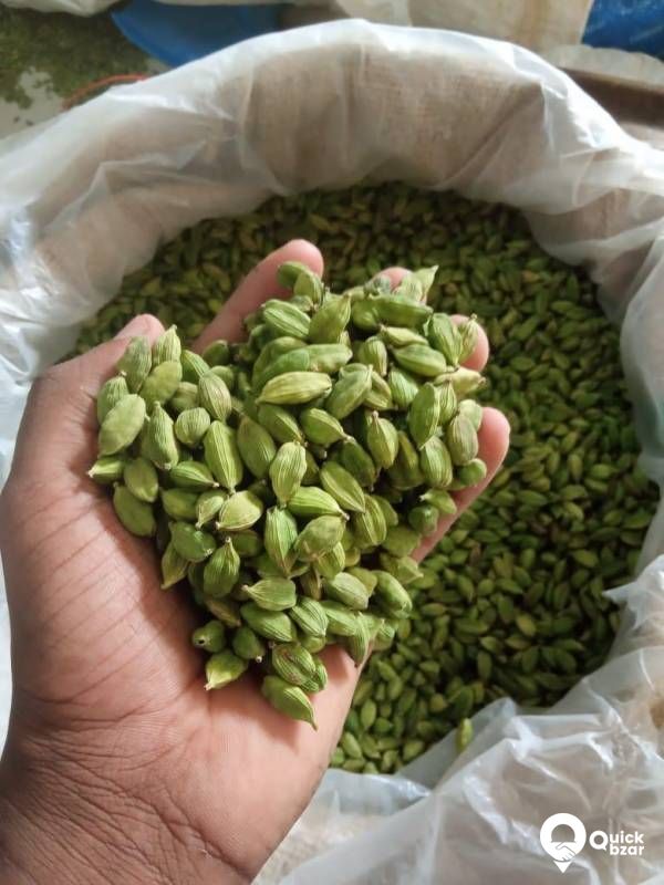 Cardamom/Elachi Wholesale & Retail