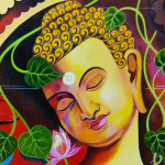 QB user Shyju K